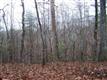 297  Black Oak Road , Harriman, TN