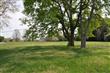 11824  Kingston Pike , Knoxville, TN