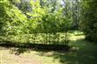 4717  Guinn Road 