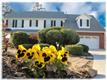 1100  Shearwater Lane , Knoxville, TN