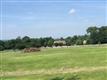 0 DR Deerfield Drive 