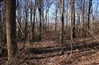 594  Springville Road , Gap, PA