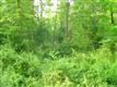 979 N Trail Road , Elizabethtown, PA