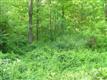 1015 N Trail Road , Elizabethtown, PA