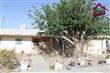 412  Wilson Street , Hatch, NM