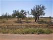 TBD  Tinney Rd , Cache, OK