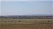Tract 6  Miller Rd , Elgin, OK