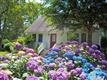 East Hampton
