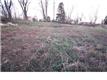1416  Nightingale Ln , Goshen, KY