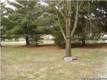 498 Hickory Hill Rd, La Grange, KY 40031