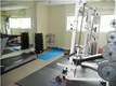 904 Rugby Pl, Louisville, KY 40222