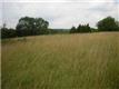 8 Cochran Hill Ln, Taylorsville, KY 40071