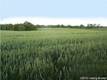 4 Benson Rd, Shelbyville, KY 40065
