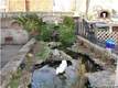 218 Shelley Ct, Mt Washington, KY 40047