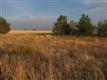 Lot 5 W Farm Rd 597 , Abernathy, TX