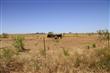 4818 W Farm Rd 597 