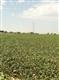 101 N County Rd 2900 , Lubbock, TX