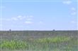 3305  Farm Rd 2378 , Lubbock, TX
