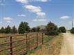 7530  Woodrow Rd , Wolfforth, TX