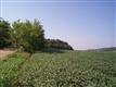 Lot 1  Hwy Kp , Cross Plains, WI