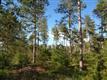 0  18th Ave, Lot 5 , Necedah, WI