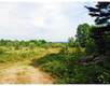 40B  Colley Hill Road , Gray, ME