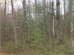 Dayton