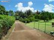 Lahaina