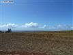 Maunaloa