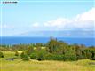 Lahaina