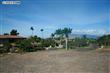 Kihei