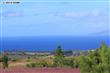Lahaina