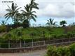 Kihei