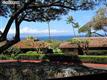 Lahaina