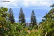 Lahaina
