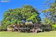 Makawao