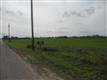 00 N 83rd Street , Edinburg, TX