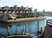 429  Padre Blvd , South Padre Island, TX