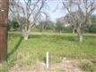 5414  Sugar Road , Pharr, TX