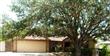 313  Tullipan Street , Mission, TX