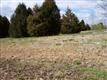 335  Woodsedge Drive , Eads, TN
