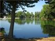 10021 Woodland Pine Cove W, Lakeland, TN 38002
