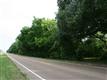 Collierville