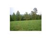 0  Bridge View Circle , Bath Springs, TN