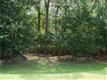 8300  Wesley Woods Circle 