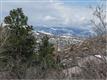 501 Tacker Ct, Castle Rock, CO 80104