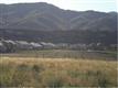 8720 Hunters Hill Ln, Littleton, CO 80125