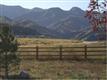10145  Blue Blood Pl , Littleton, CO