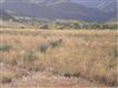 10410  Hunt Master Pl , Littleton, CO