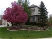 9461  La Costa Ln , Lone Tree, CO